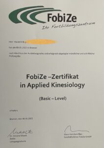 Zertifikat der Kinesiologie-Grundausbildung â€“ Heilpraktiker mit Zusatzqualifikation in angewandter Kinesiologie, Muskeltest-Verfahren und energetischer Balance zur Unterstützung ganzheitlicher Behandlungen.