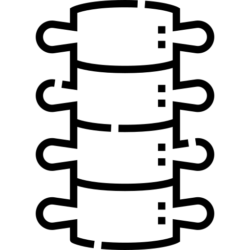 Symbol Wirbelsäule â€“ Parietale Osteopathie in Berlin