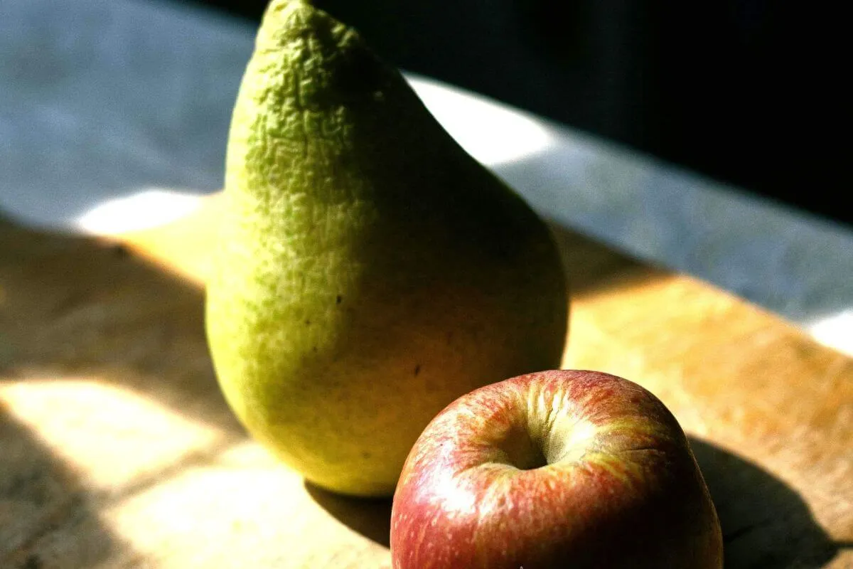 Apfel und Birne enthalten relativ viel Fructose und können bei Fructoseintoleranz Beschwerden verursachen.