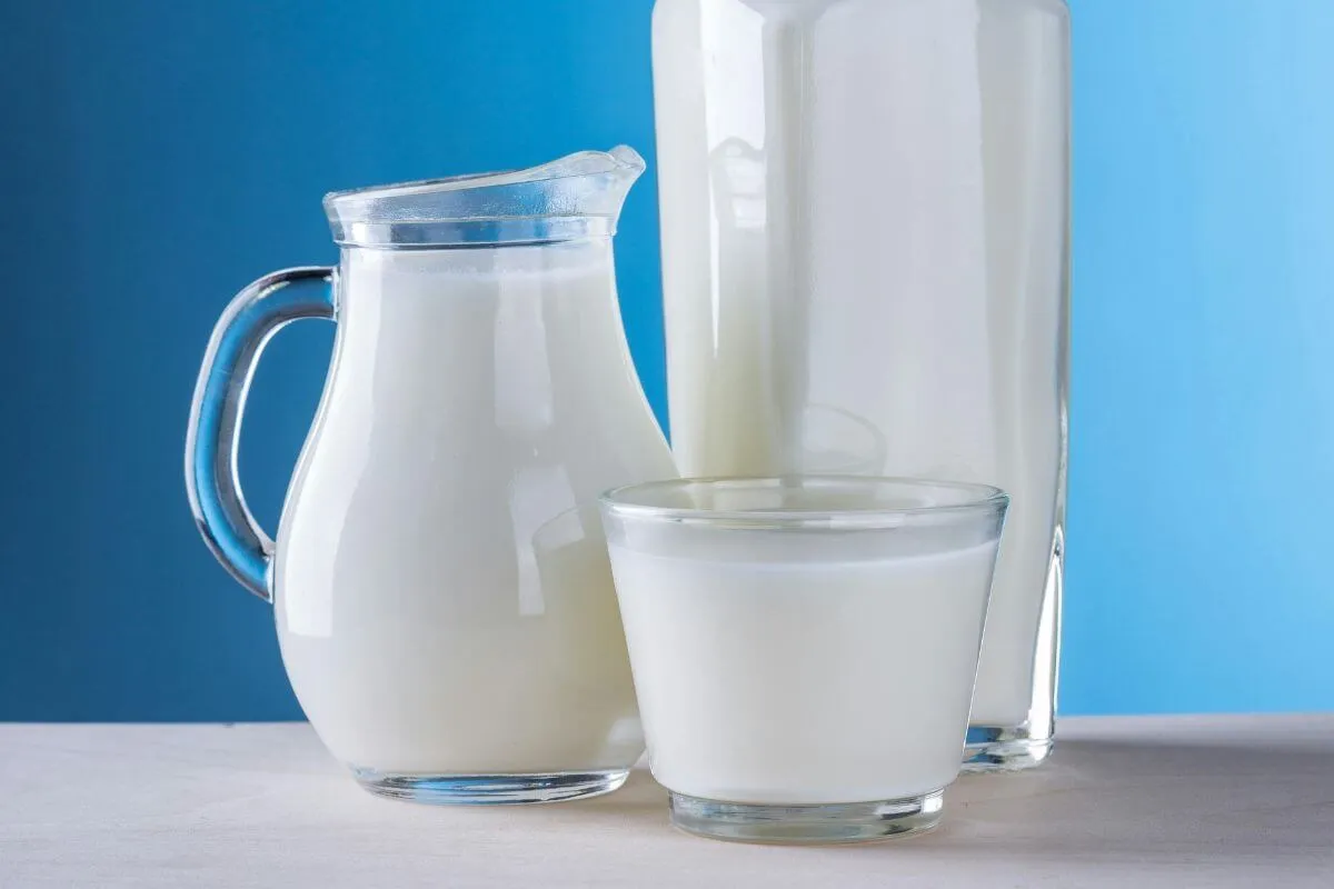 Milch und Milchprodukte enthalten Laktose (Milchzucker). Bei einer Laktoseintoleranz fehlt das Enzym Laktase, wodurch Laktose im Darm vergoren wird. Typische Folgen sind Blähungen, Druckgefühl oder Durchfall nach dem Essen.