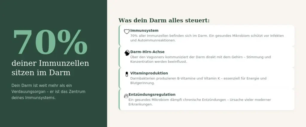 Infografik: 70% der Immunzellen sitzen im Darm – Heilpraktiker Harald Erb erklärt die Bedeutung des Mikrobioms