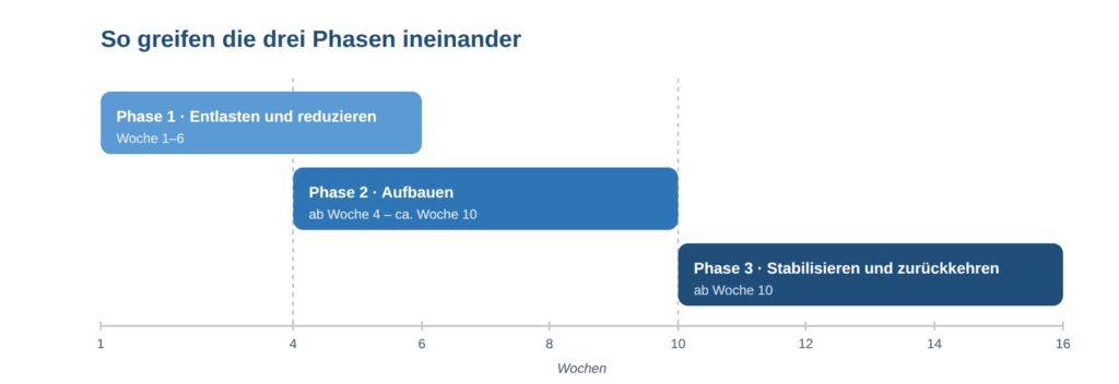 Zeitstrahl der Darmkur: Phase 1 (Woche 1–6), Phase 2 (ab Woche 4) und Phase 3 (ab Woche 10) überschneiden sich.