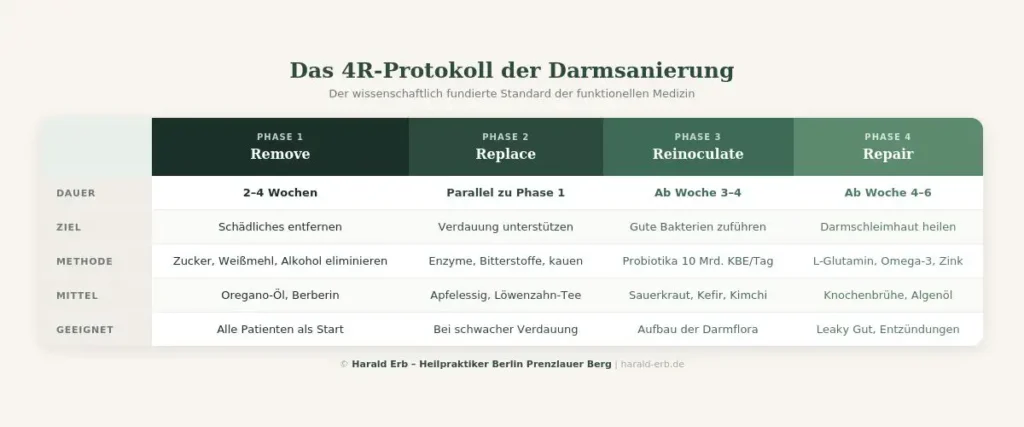 Infografik 4R-Protokoll der Darmkur: Remove, Replace, Reinoculate, Repair – die 4 Phasen erklärt