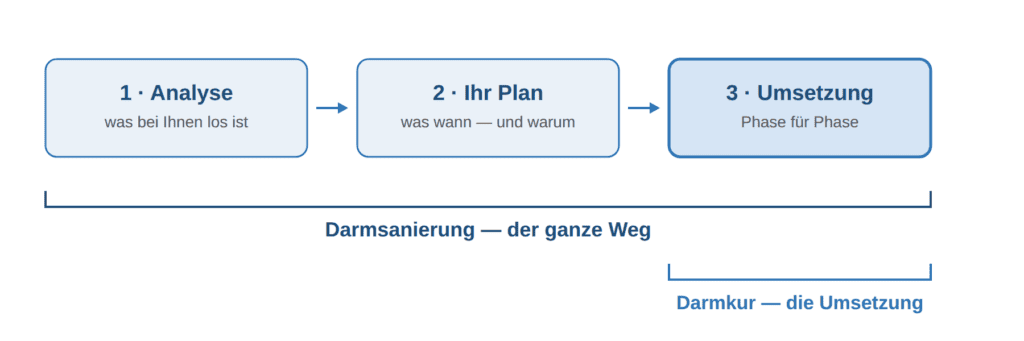 Schaubild: Analyse, Plan und Umsetzung bilden zusammen die Darmsanierung — die Darmkur ist der Umsetzungsteil