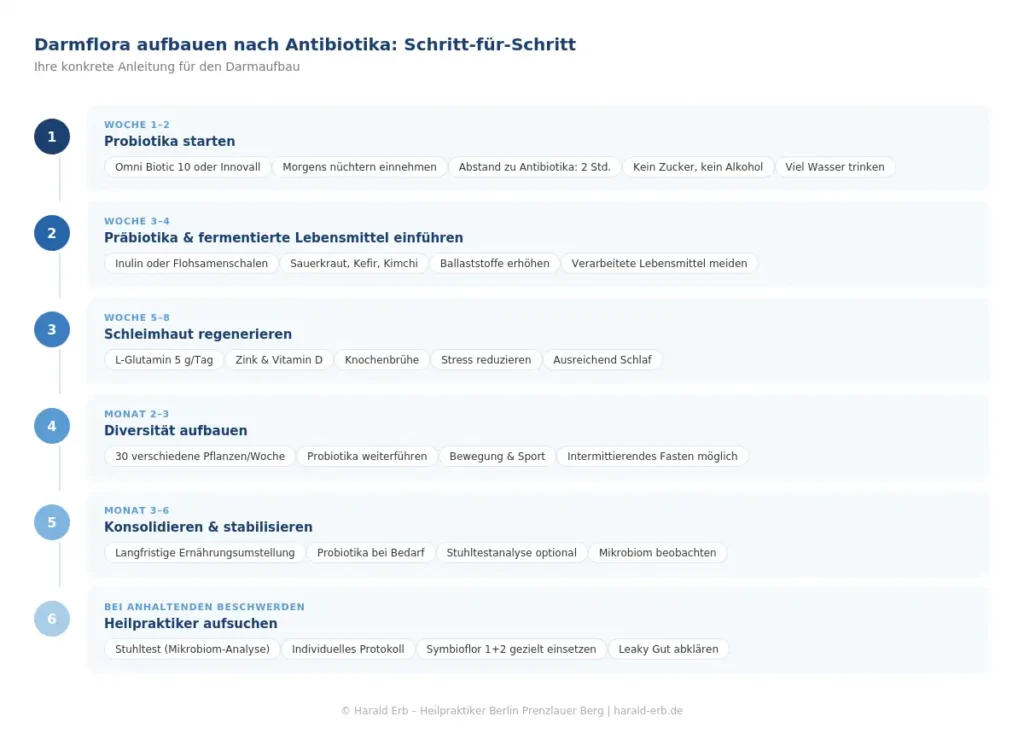 Darmflora aufbauen nach Antibiotika in 6 Schritten: Von Probiotika in Woche 1 bis zur Konsolidierung in Monat 6 – Anleitung vom Heilpraktiker Berlin