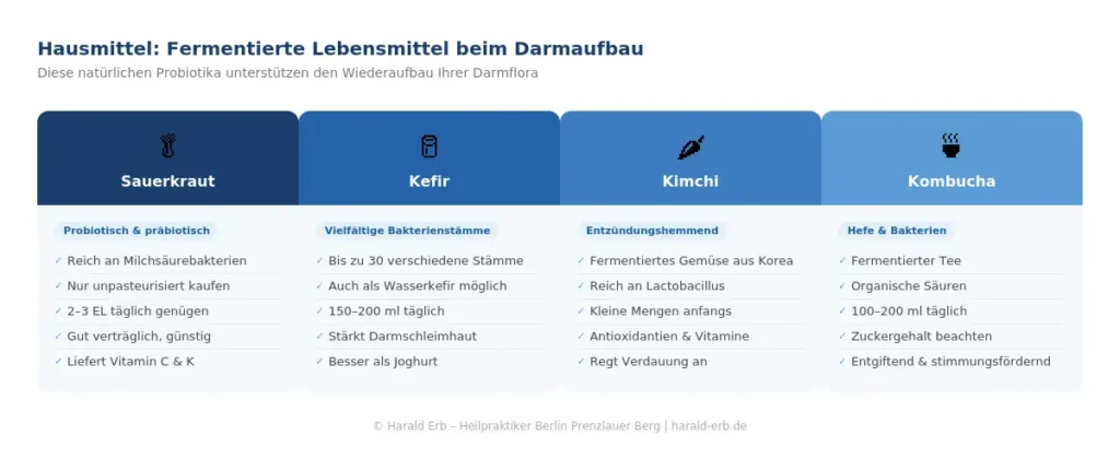 Hausmittel für den Darmaufbau nach Antibiotika: Sauerkraut, Kefir, Kimchi und Kombucha im Überblick