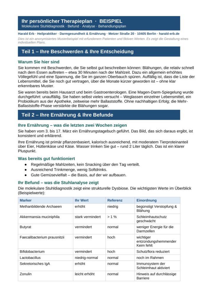 Auszug aus einem individuellen schriftlichen Therapieplan zur Darmgesundheit, anonymisiertes Beispiel von Heilpraktiker Harald Erb Berlin