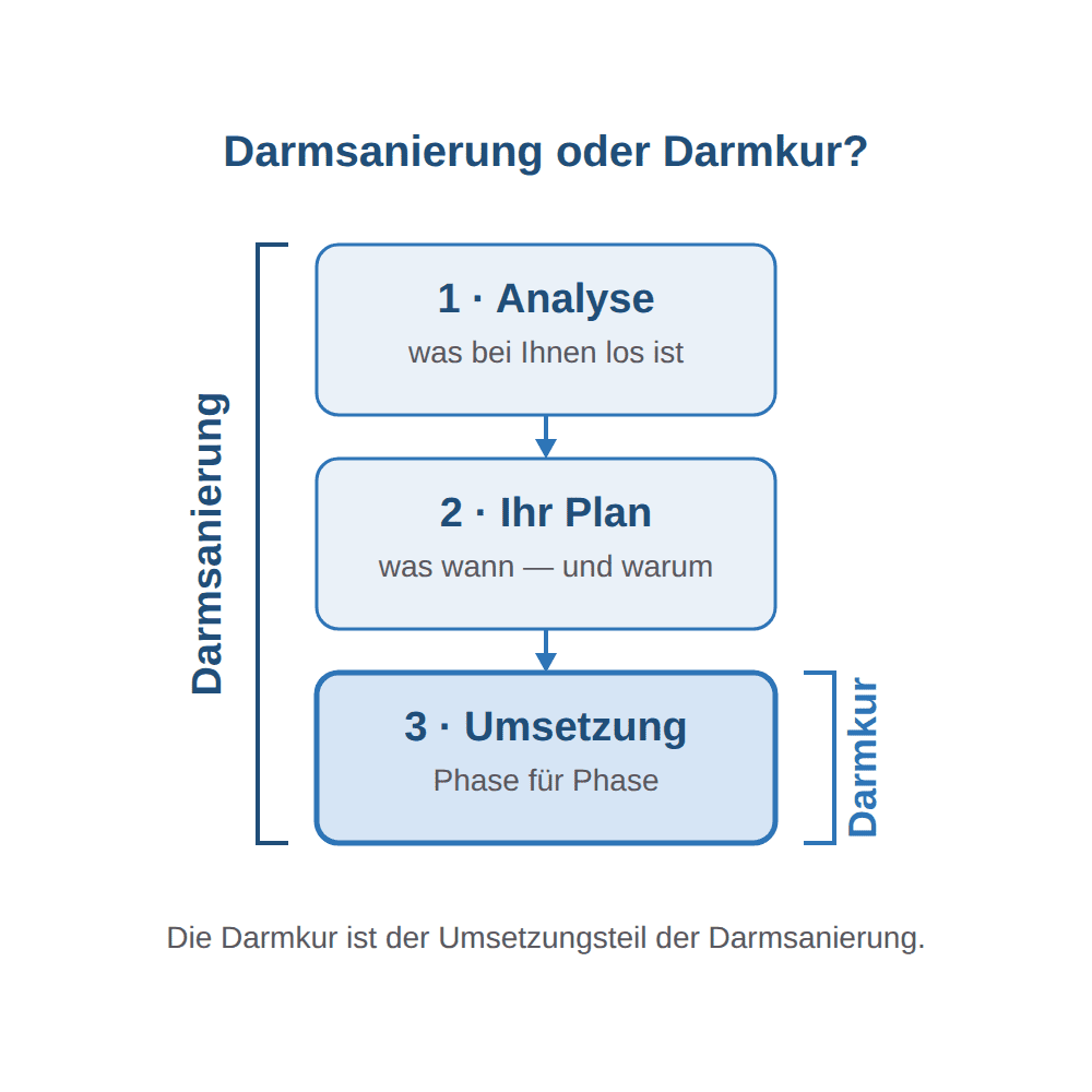 Schaubild: Die Darmsanierung umfasst Analyse, Plan und Umsetzung — die Darmkur ist der Umsetzungsteil davon