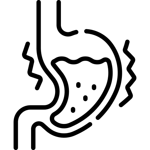 Icon Magen und Speiseröhre – Beschwerden wie Sodbrennen und Reflux