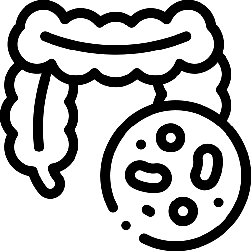 Icon: Darm – der Blick nach innen: Darmflora, Verdauung und Ernährung als Teil der Ursachensuche