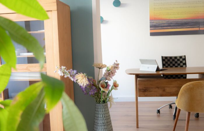 Ruhige Atmosphäre mit Pflanze in der Praxis für Osteopathie von Harald Erb in Berlin Prenzlauer Berg